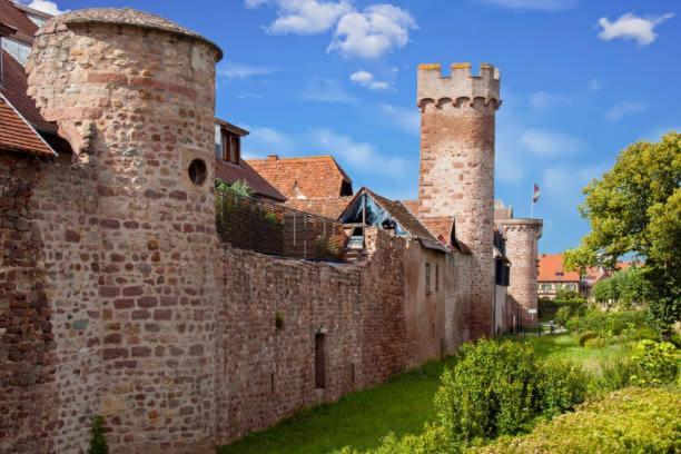Ancien Mulhouse 101 Lejlighed Eksteriør billede